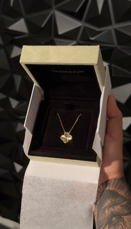 PAQUETE 5 COLLARES VCA