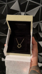 PACK 5 COLLARES VCA